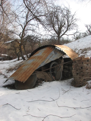 photo de Balthazar, protégé sous sa cabane en tôles, entouré d'un peu de neige.