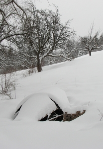 Balthazar sous la neige